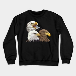 Pigargos Crewneck Sweatshirt